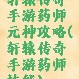 轩辕传奇手游药师元神攻略(轩辕传奇手游药师技能)