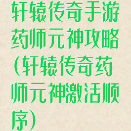 轩辕传奇手游药师元神攻略(轩辕传奇药师元神激活顺序)