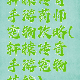 轩辕传奇手游药师宠物攻略(轩辕传奇手游宠物技能)