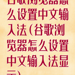 谷歌浏览器怎么设置中文输入法(谷歌浏览器怎么设置中文输入法显示)