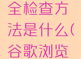 谷歌浏览器进行安全检查方法是什么(谷歌浏览器安全提示)