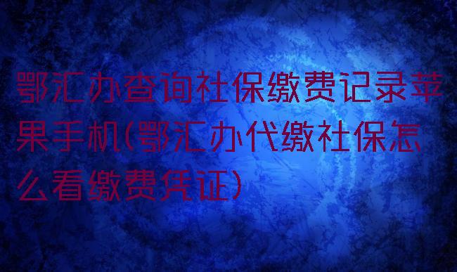 鄂汇办查询社保缴费记录苹果手机(鄂汇办代缴社保怎么看缴费凭证)