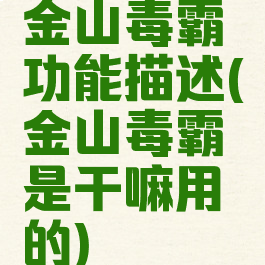 金山毒霸功能描述(金山毒霸是干嘛用的)