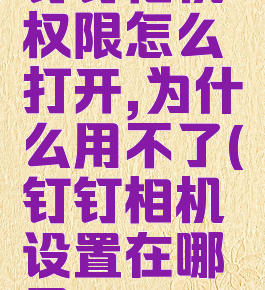 钉钉相机权限怎么打开,为什么用不了(钉钉相机设置在哪里)