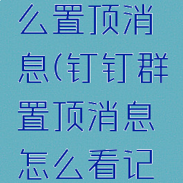 钉钉群怎么置顶消息(钉钉群置顶消息怎么看记录)