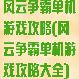 风云争霸单机游戏攻略(风云争霸单机游戏攻略大全)