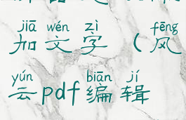 风云pdf编辑器怎么添加文字(风云pdf编辑器使用教程)