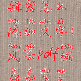 风云pdf编辑器怎么添加文字(风云pdf编辑器怎么添加文字)