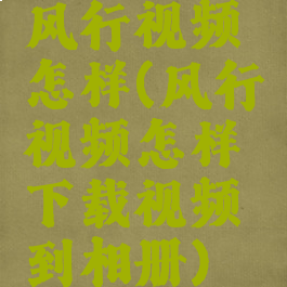 风行视频怎样(风行视频怎样下载视频到相册)