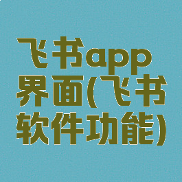 飞书app界面(飞书软件功能)