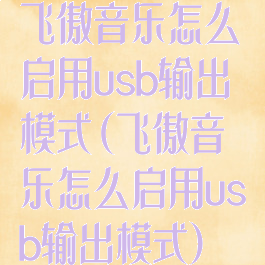 飞傲音乐怎么启用usb输出模式(飞傲音乐怎么启用usb输出模式)