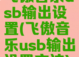 飞傲音乐usb输出设置(飞傲音乐usb输出设置方法)