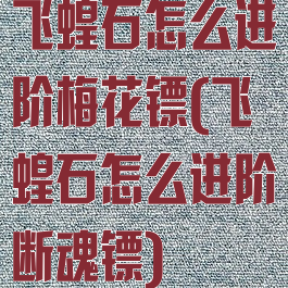 飞蝗石怎么进阶梅花镖(飞蝗石怎么进阶断魂镖)