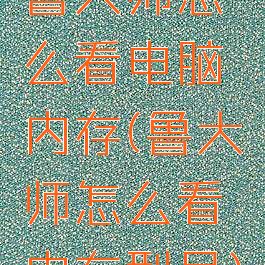 鲁大师怎么看电脑内存(鲁大师怎么看内存型号)