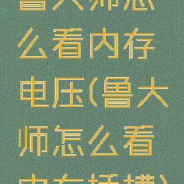 鲁大师怎么看内存电压(鲁大师怎么看内存插槽)