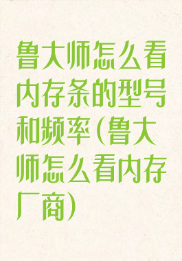 鲁大师怎么看内存条的型号和频率(鲁大师怎么看内存厂商)