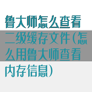 鲁大师怎么查看二级缓存文件(怎么用鲁大师查看内存信息)