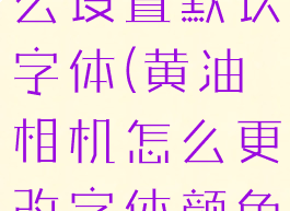 黄油相机怎么设置默认字体(黄油相机怎么更改字体颜色)