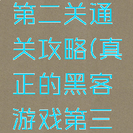 黑客游戏第二关通关攻略(真正的黑客游戏第三关)