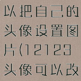 12123可以把自己的头像设置图片(12123头像可以改吗)