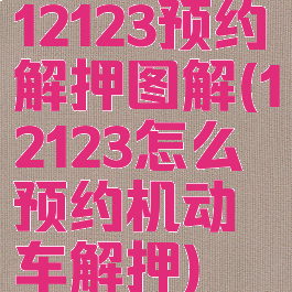 12123预约解押图解(12123怎么预约机动车解押)