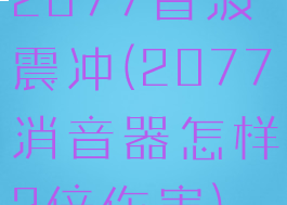 2077音波震冲(2077消音器怎样2倍伤害)