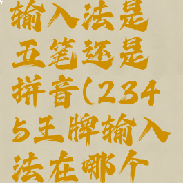 2345王牌输入法是五笔还是拼音(2345王牌输入法在哪个文件夹)