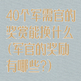 40个军需官的奖赏能换什么(军官的奖励有哪些?)