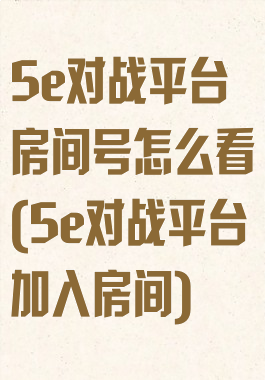 5e对战平台房间号怎么看(5e对战平台加入房间)