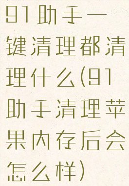 91助手一键清理都清理什么(91助手清理苹果内存后会怎么样)