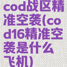 cod战区精准空袭(cod16精准空袭是什么飞机)