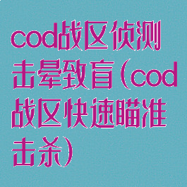 cod战区侦测击晕致盲(cod战区快速瞄准击杀)