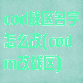 cod战区名字怎么改(codm改战区)