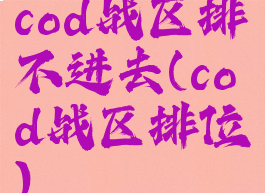 cod战区排不进去(cod战区排位)