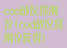 cod战区探测仪(cod战区探测仪获得)