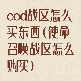 cod战区怎么买东西(使命召唤战区怎么购买)