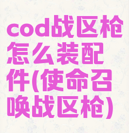 cod战区枪怎么装配件(使命召唤战区枪)