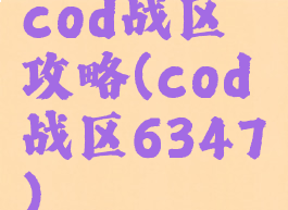 cod战区攻略(cod战区6347)