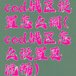 cod战区设置怎么调(cod战区怎么设置更流畅)