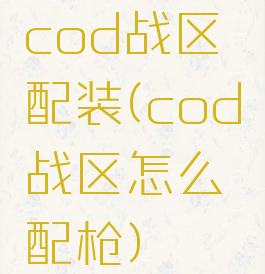 cod战区配装(cod战区怎么配枪)