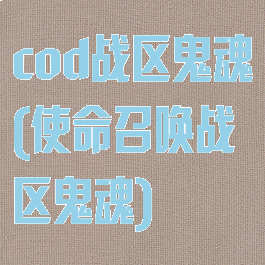 cod战区鬼魂(使命召唤战区鬼魂)