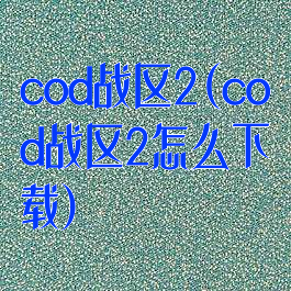 cod战区2(cod战区2怎么下载)