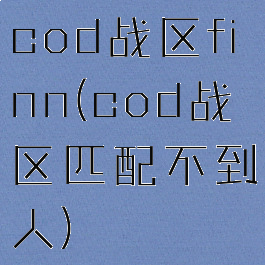 cod战区finn(cod战区匹配不到人)