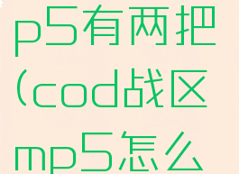 cod战区mp5有两把(cod战区mp5怎么配)