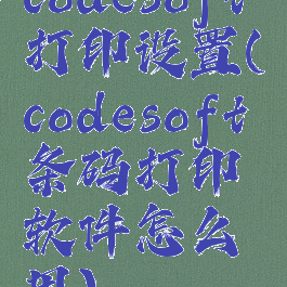 codesoft打印设置(codesoft条码打印软件怎么用)