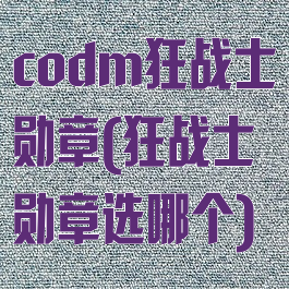 codm狂战士勋章(狂战士勋章选哪个)