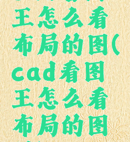 cad看图王怎么看布局的图(cad看图王怎么看布局的图层)