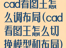 cad看图王怎么调布局(cad看图王怎么切换模型和布局)