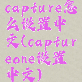 capture怎么设置中文(captureone设置中文)