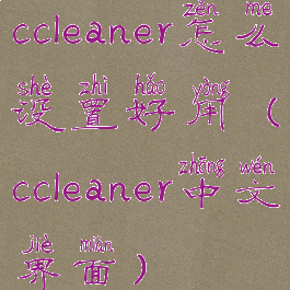 ccleaner怎么设置好用(ccleaner中文界面)